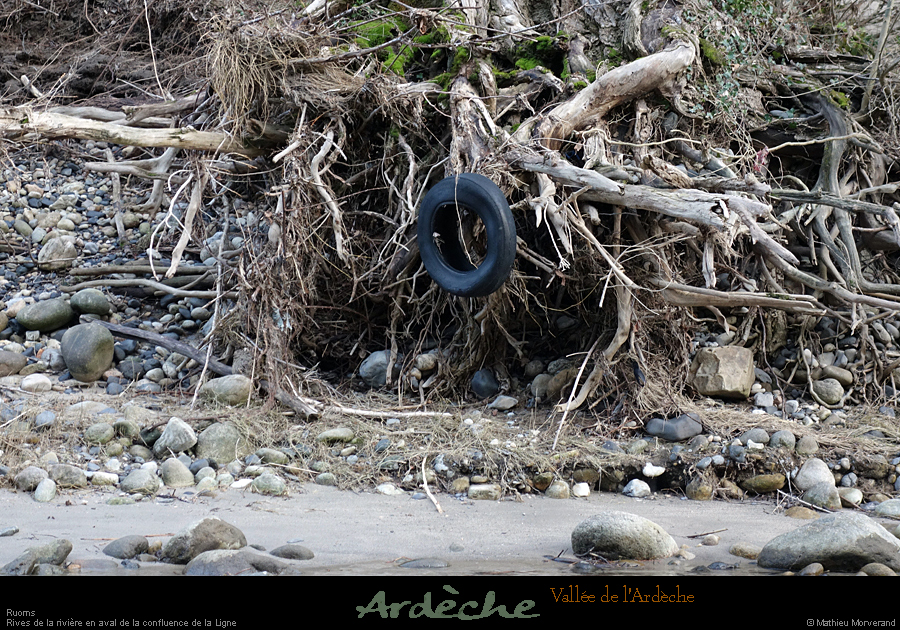 20200112_defiles6