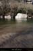 20190101_rocherconfluence07
