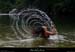 20190623_avconfluence_jeuxdeau2