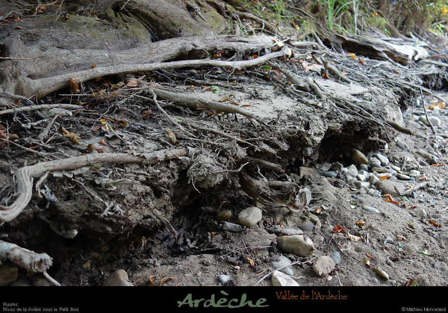 20210913_rivereassechee06