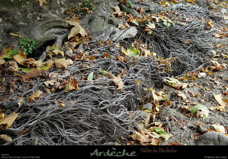 20210913_rivereassechee08