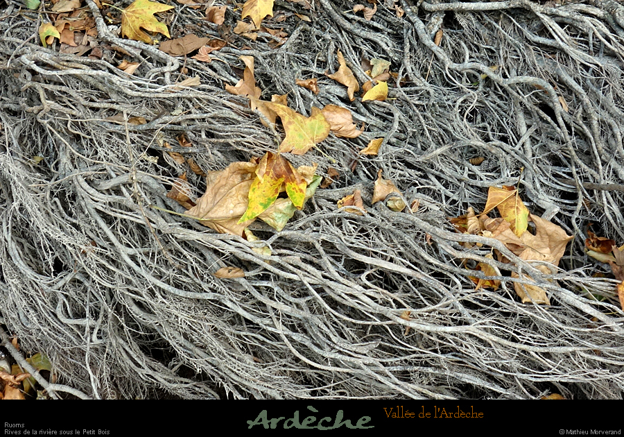 20210913_rivereassechee09