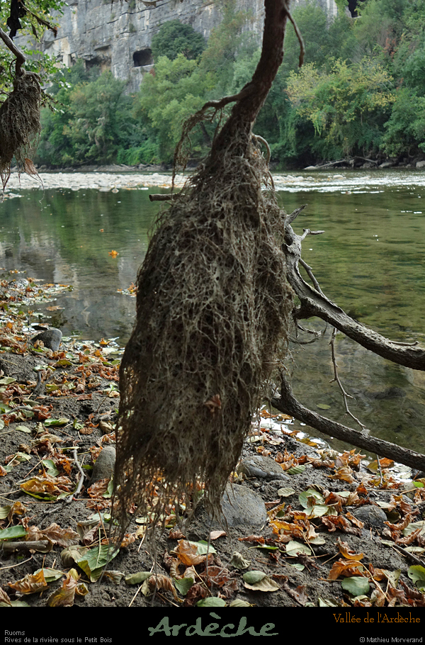 20210913_rivereassechee23