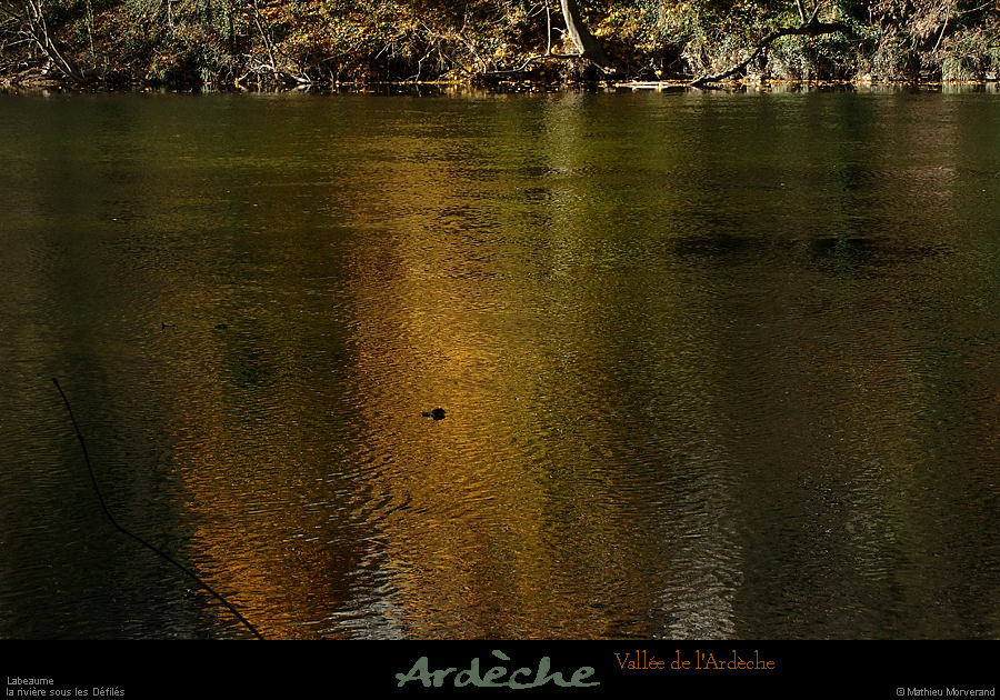 20241123_016