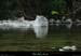 20210913_rivereassechee07