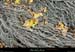 20210913_rivereassechee09