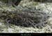 20210913_rivereassechee14