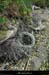 20210913_rivereassechee17