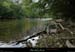 20210913_rivereassechee18