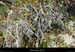20210913_rivereassechee39