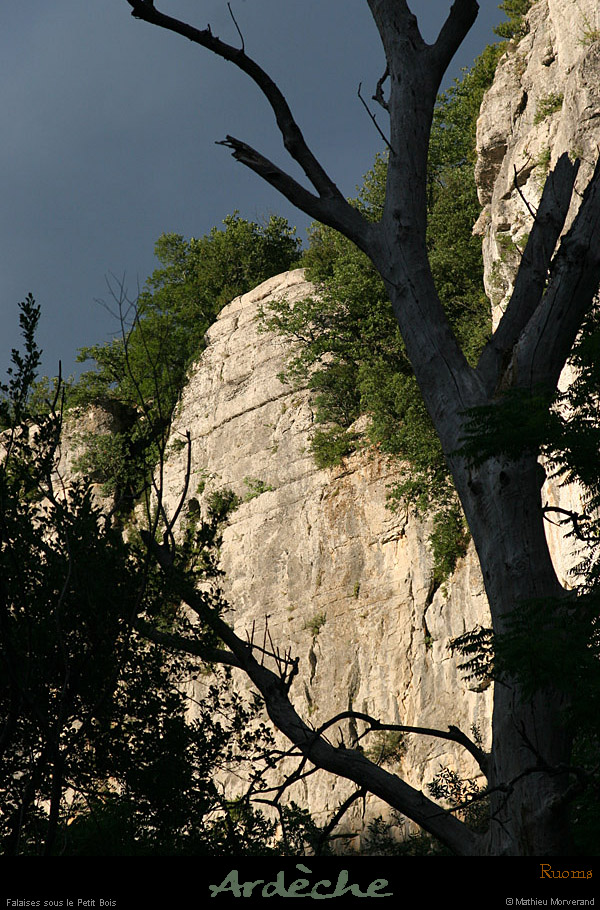 20070625_ardeche_falaisessspetitbois3