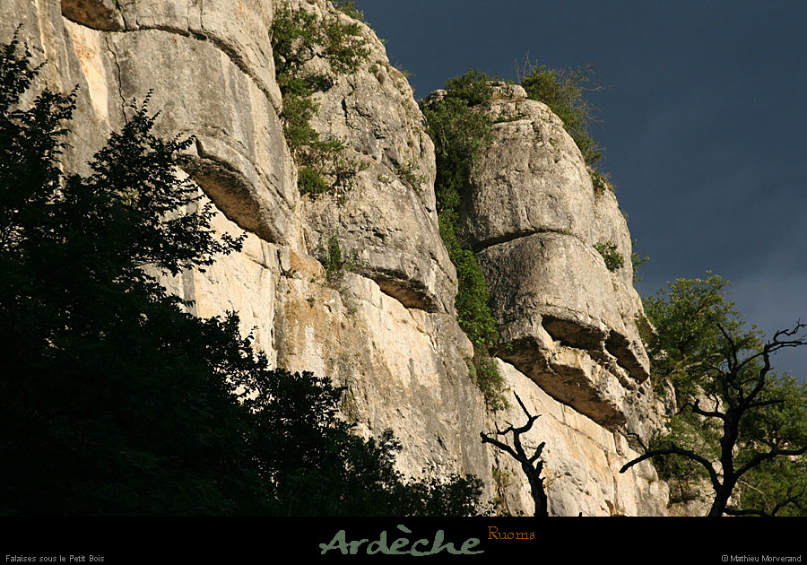 20070625_ardeche_falaisessspetitbois4
