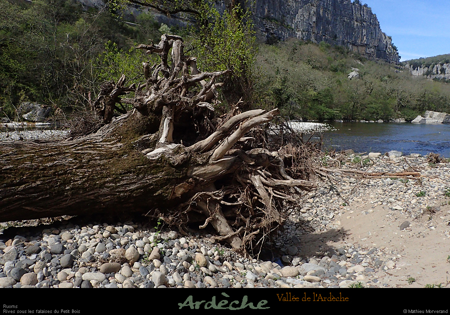 20210405_14