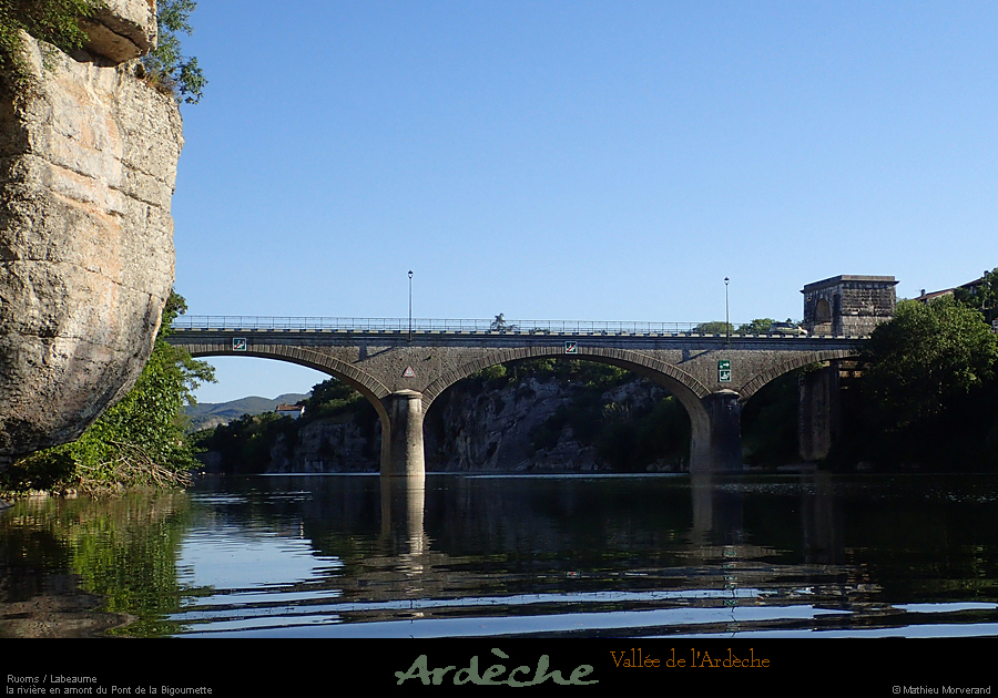 20190608_ptbigournette