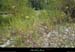 20130928_labeaume_avalbigournette_rivesdardeche1