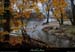 20141123_ardecheamconfluencebeaume06
