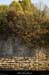 20171014_rivesssbevennes1