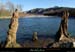 20160221_confluencechassezacardeche4