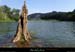 20180509_confluencechassezac2