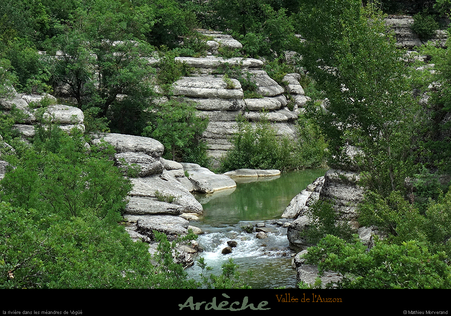 20180603_auzon4