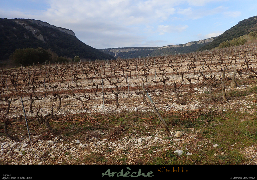 20190120_090