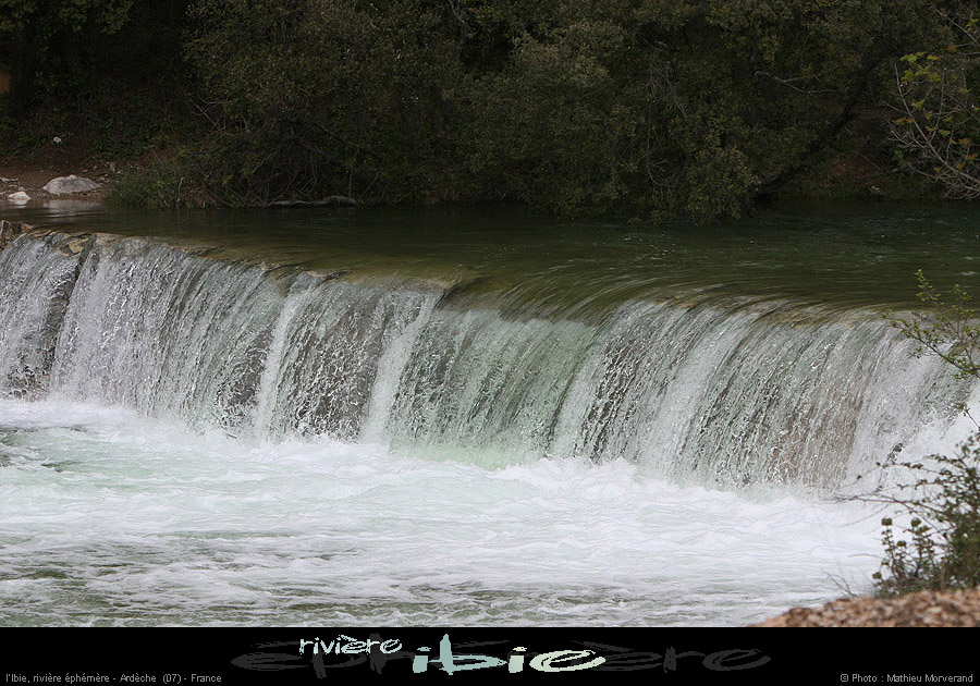 20080421ibie006