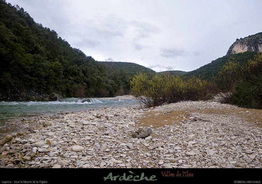 20110316_ibiesslemourredelafigiere