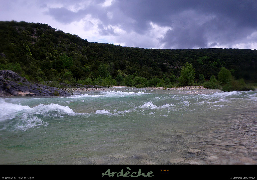 20100512_ibie1