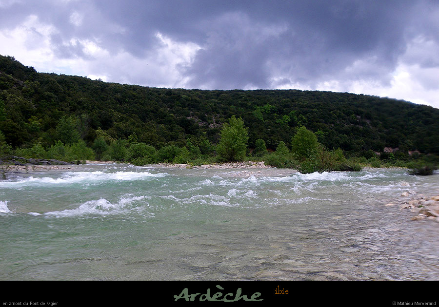 20100512_ibie2