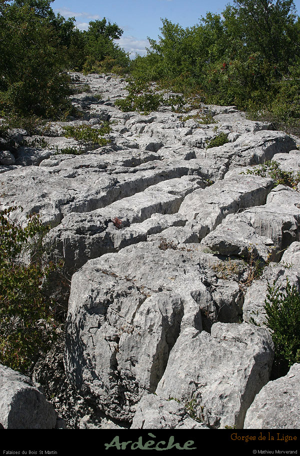 20090718_boisstmartin_bordsfalaisesligne1