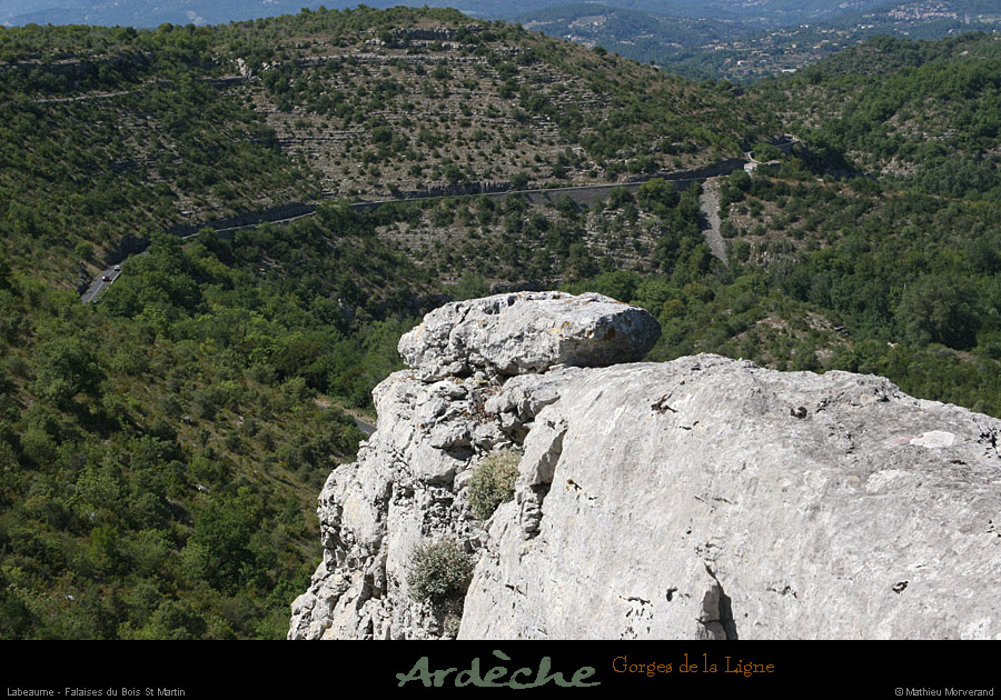 20090718_boisstmartin_bordsfalaisesligne5