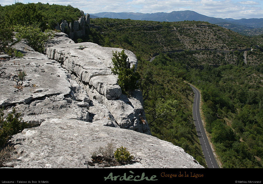 20090718_boisstmartin_bordsfalaisesligne6