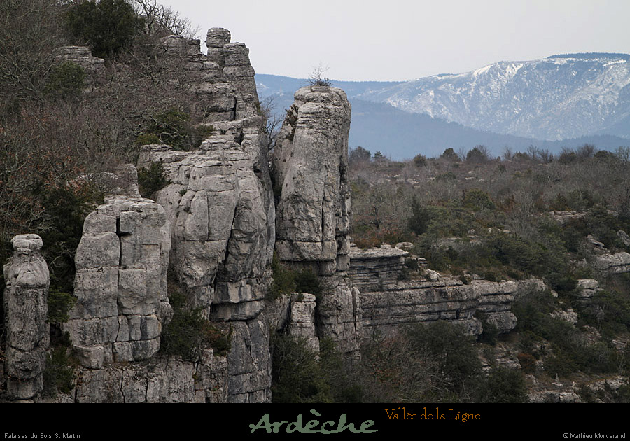 20130127_labeaume_cornichedeligne5