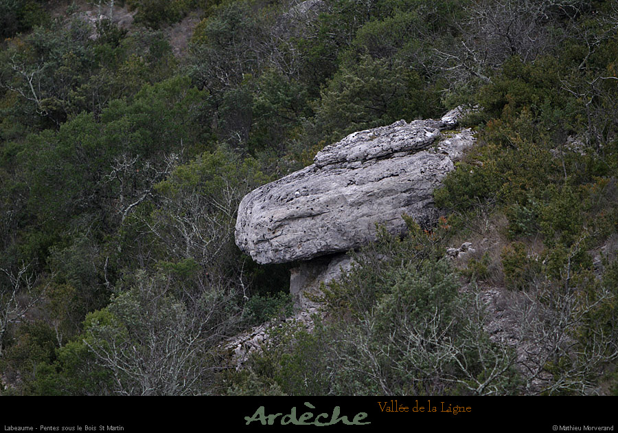 20130127_labeaume_pentesslacornichedelaligne