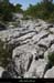 20090718_boisstmartin_bordsfalaisesligne1