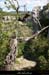 20090718_boisstmartin_passageligne1