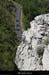 20090718_valleeligne_rte4