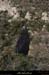 20121231_labeaume_trancheedebellevue
