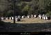 20130302_gorgesligne_labeaume_ssptedusavel_ruches2
