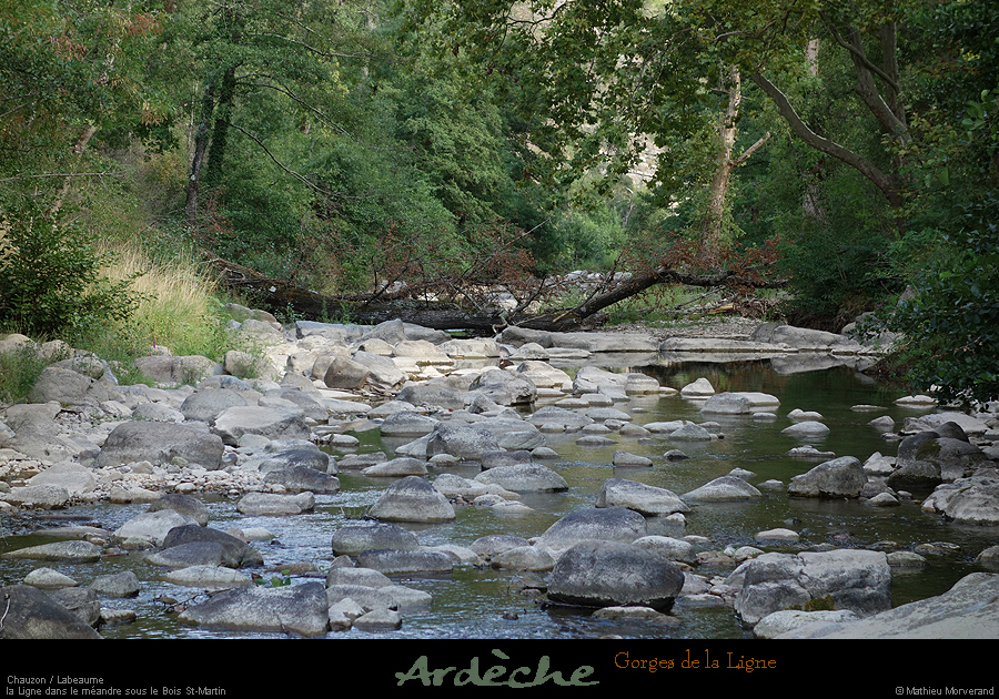 20200814_ligne09