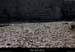 20130302_gorgesligne_labeaume_ssptedusavel_rives07