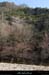 20130302_gorgesligne_labeaume_ssptedusavel_rives08