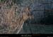 20130302_gorgesligne_labeaume_ssptedusavel_rives10