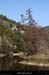 20130302_gorgesligne_labeaume_ssptedusavel_riviere05