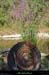 20200814_ligne06