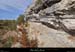 20170903_cornichevignevieille1