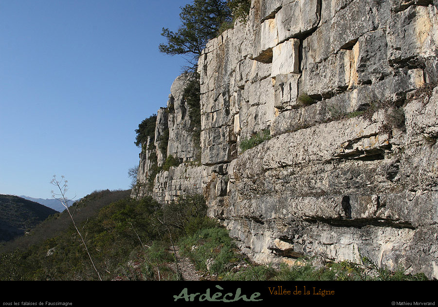 20090315_faussimagne_sentierpieddefalaise1