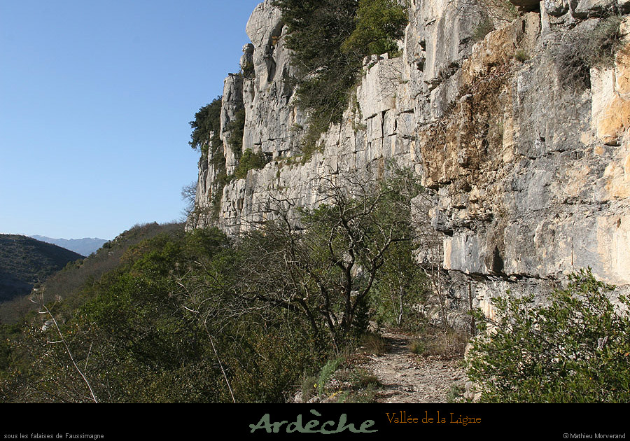 20090315_faussimagne_sentierpieddefalaise2