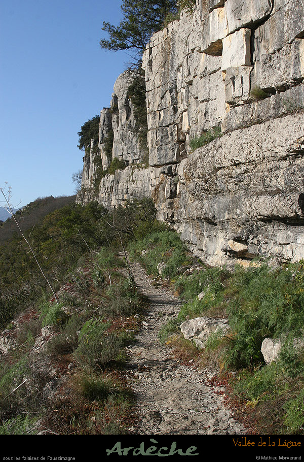 20090315_faussimagne_sentierpieddefalaise3