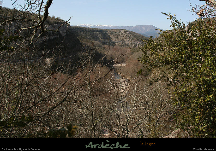 20090315_ruoms_petitboisenfaceligne1